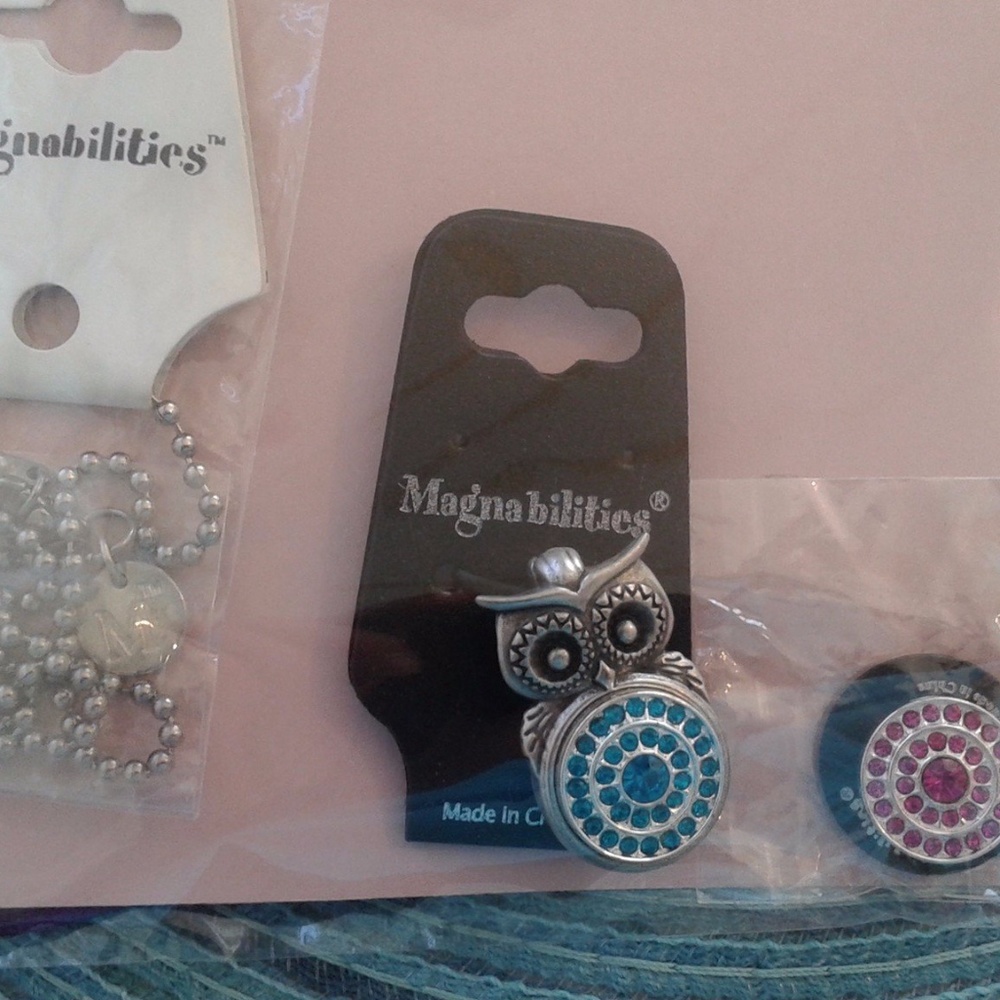 Interchangeable Owl Pendant Necklace